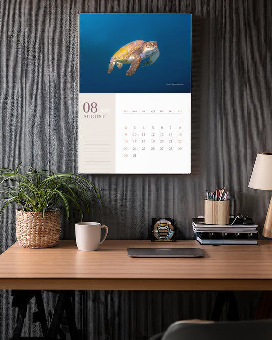 2026 Australian Green Sea Turtle Calendar