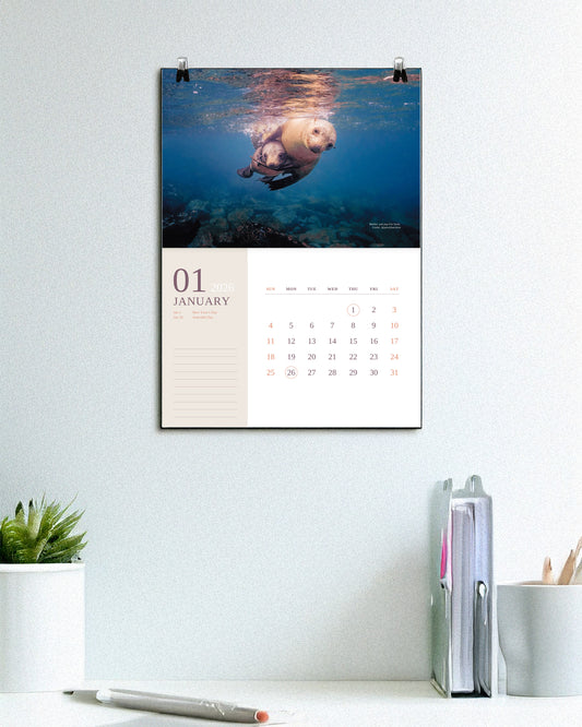 2026 Ocean Wildlife Calendar – Discover Australia’s Underwater Wonders