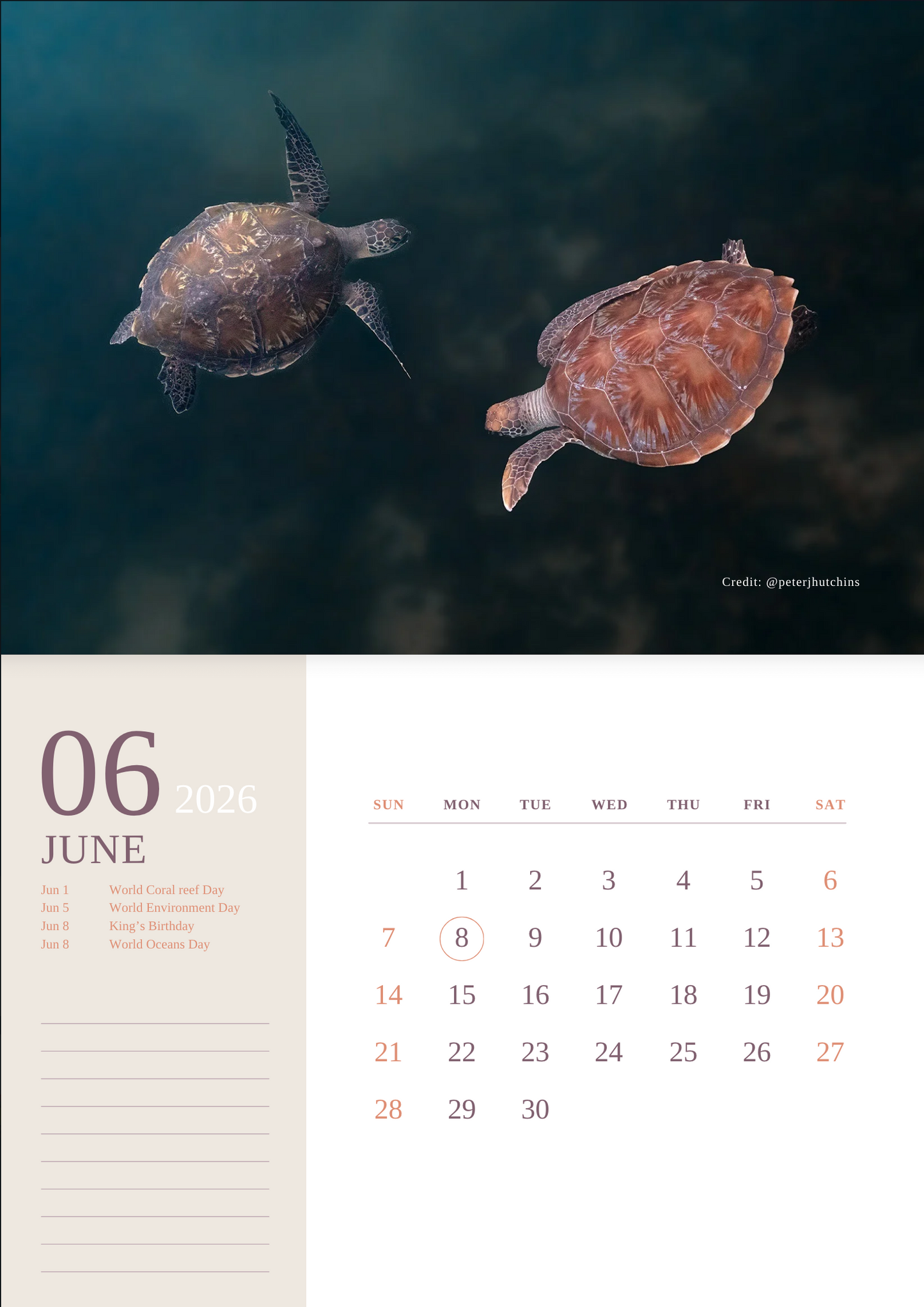 2026 Australian Green Sea Turtle Calendar
