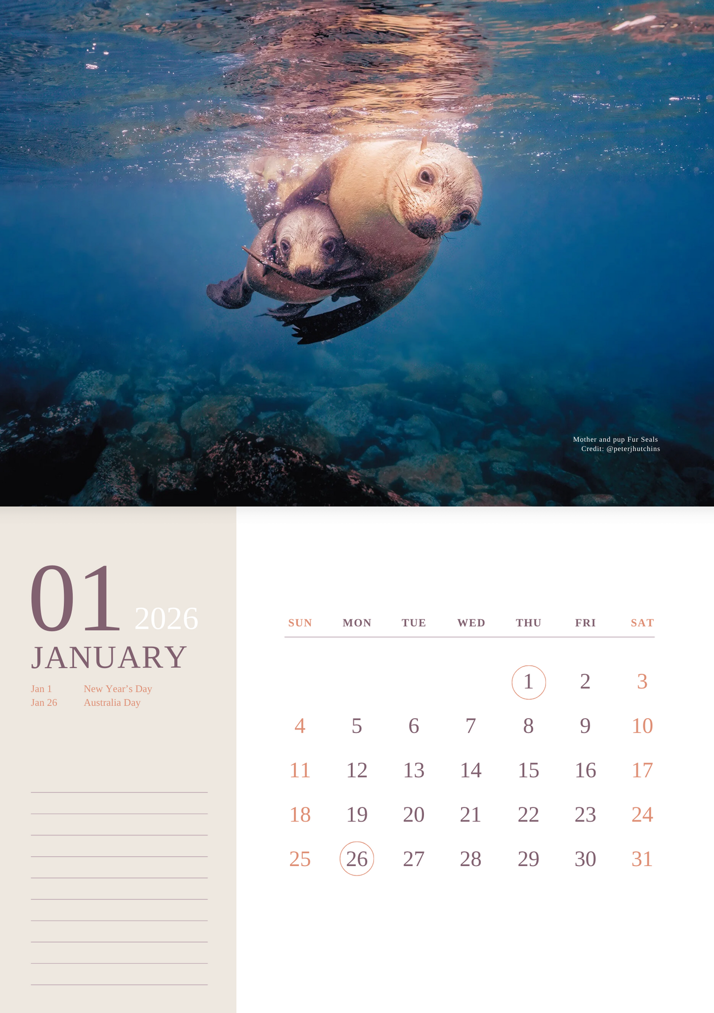 2026 Ocean Wildlife Calendar – Discover Australia’s Underwater Wonders