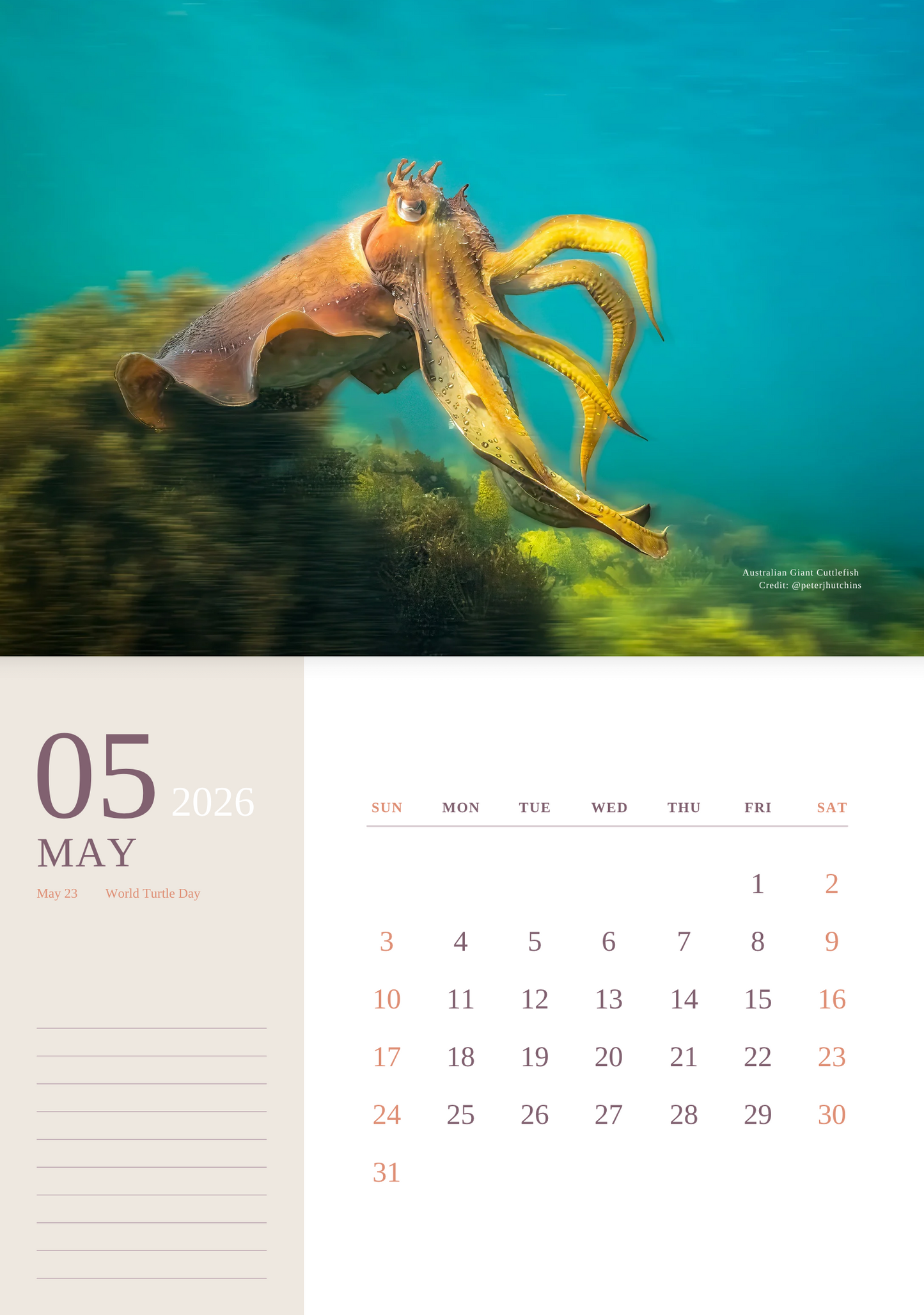 2026 Ocean Wildlife Calendar – Discover Australia’s Underwater Wonders