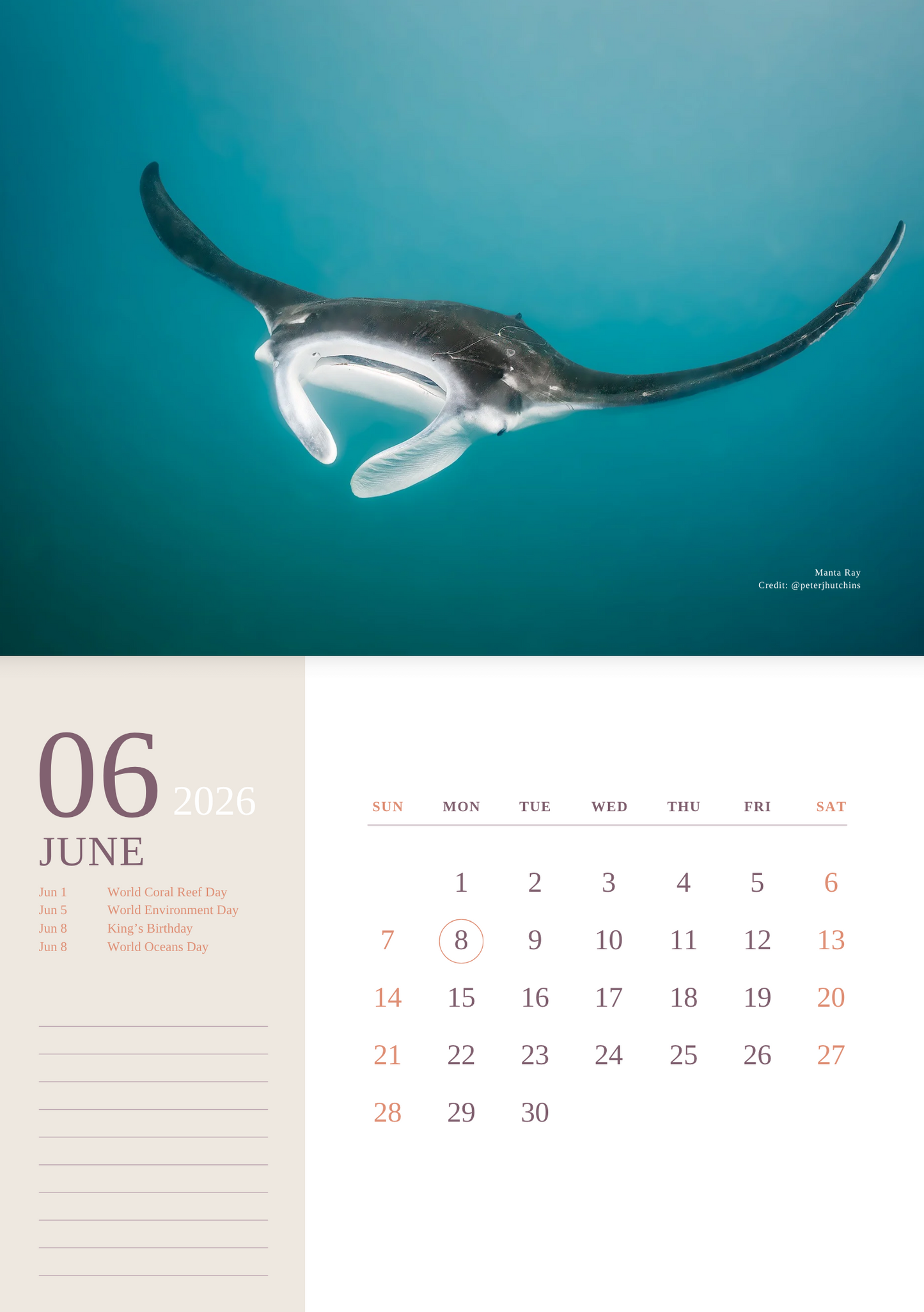 2026 Ocean Wildlife Calendar – Discover Australia’s Underwater Wonders