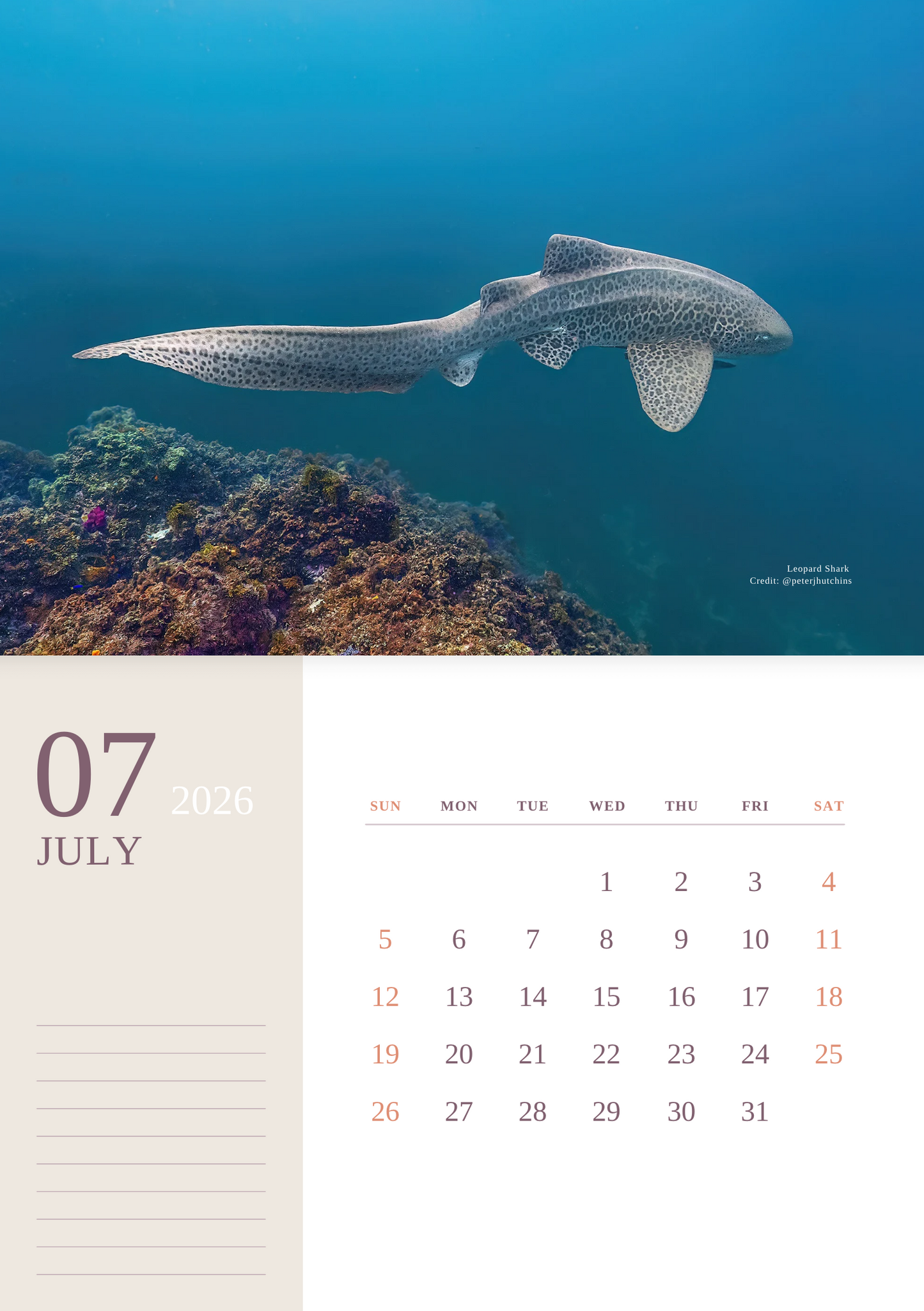 2026 Ocean Wildlife Calendar – Discover Australia’s Underwater Wonders