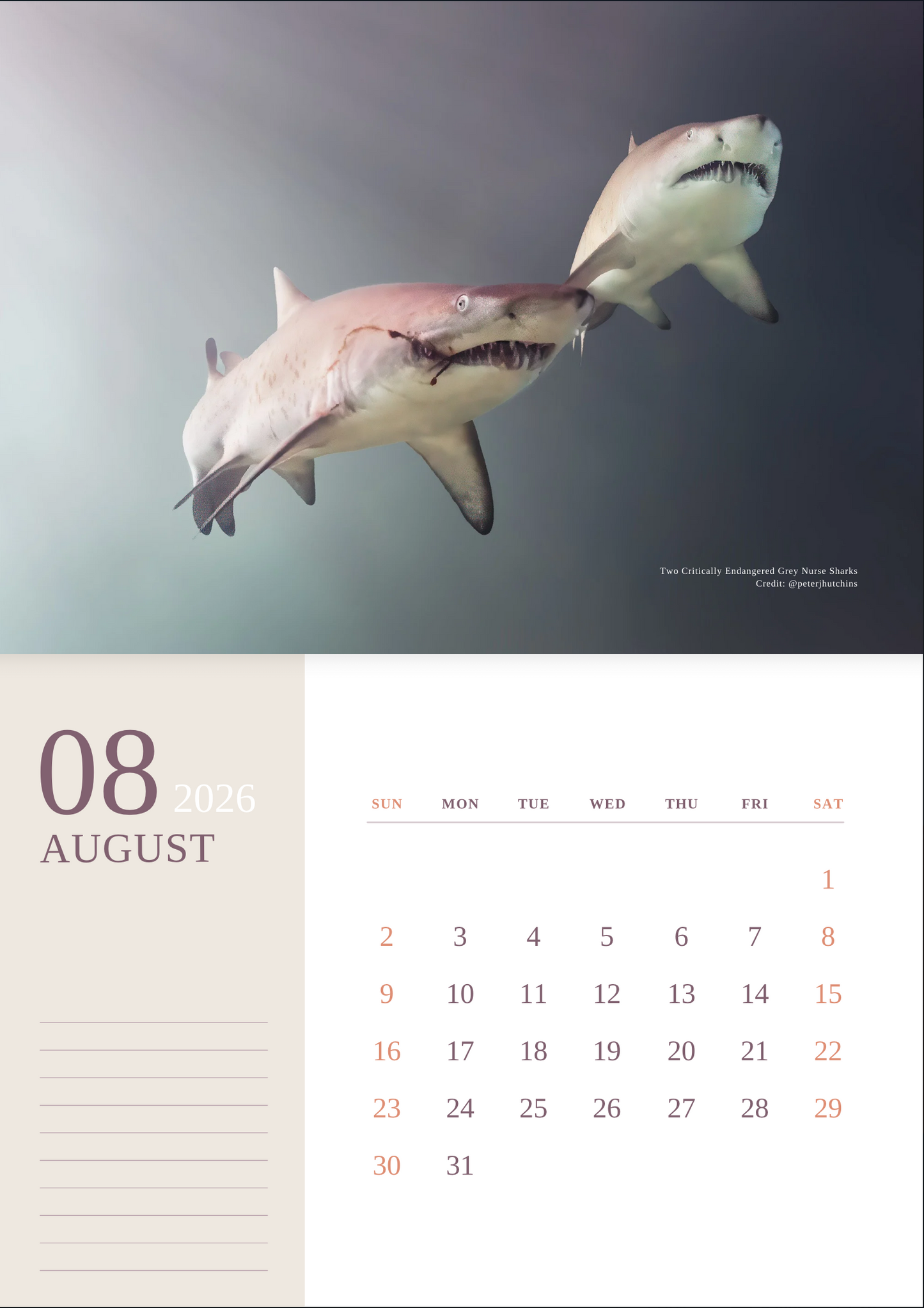 2026 Ocean Wildlife Calendar – Discover Australia’s Underwater Wonders