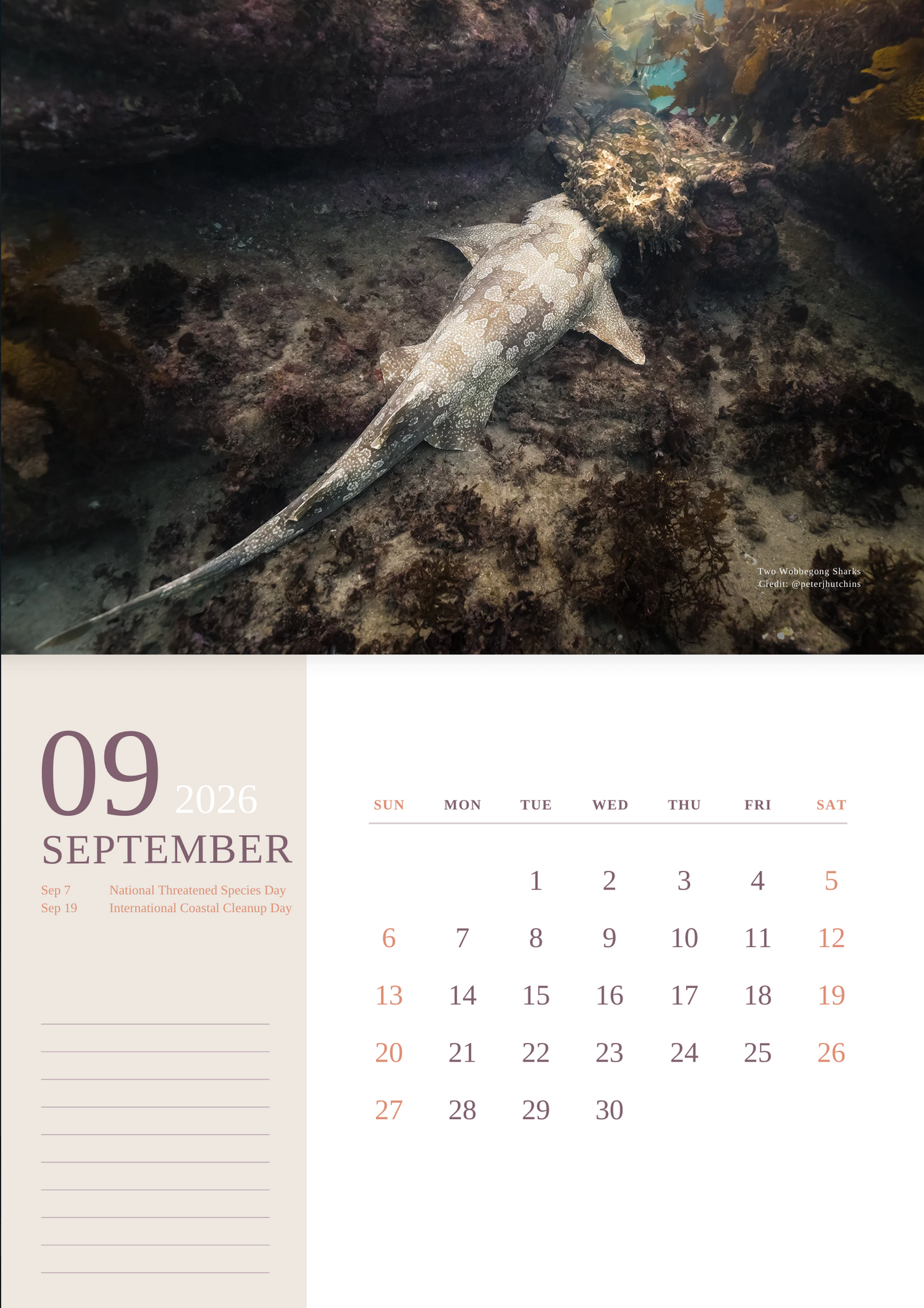 2026 Ocean Wildlife Calendar – Discover Australia’s Underwater Wonders
