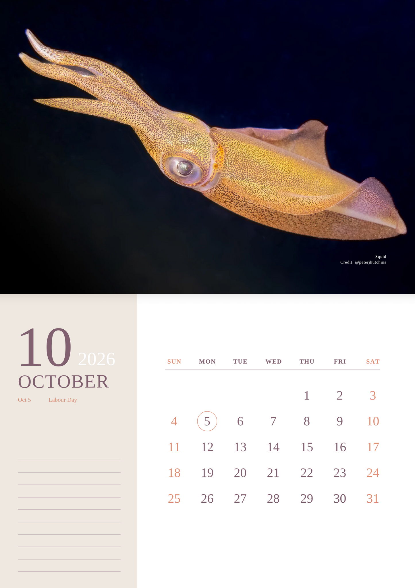2026 Ocean Wildlife Calendar – Discover Australia’s Underwater Wonders