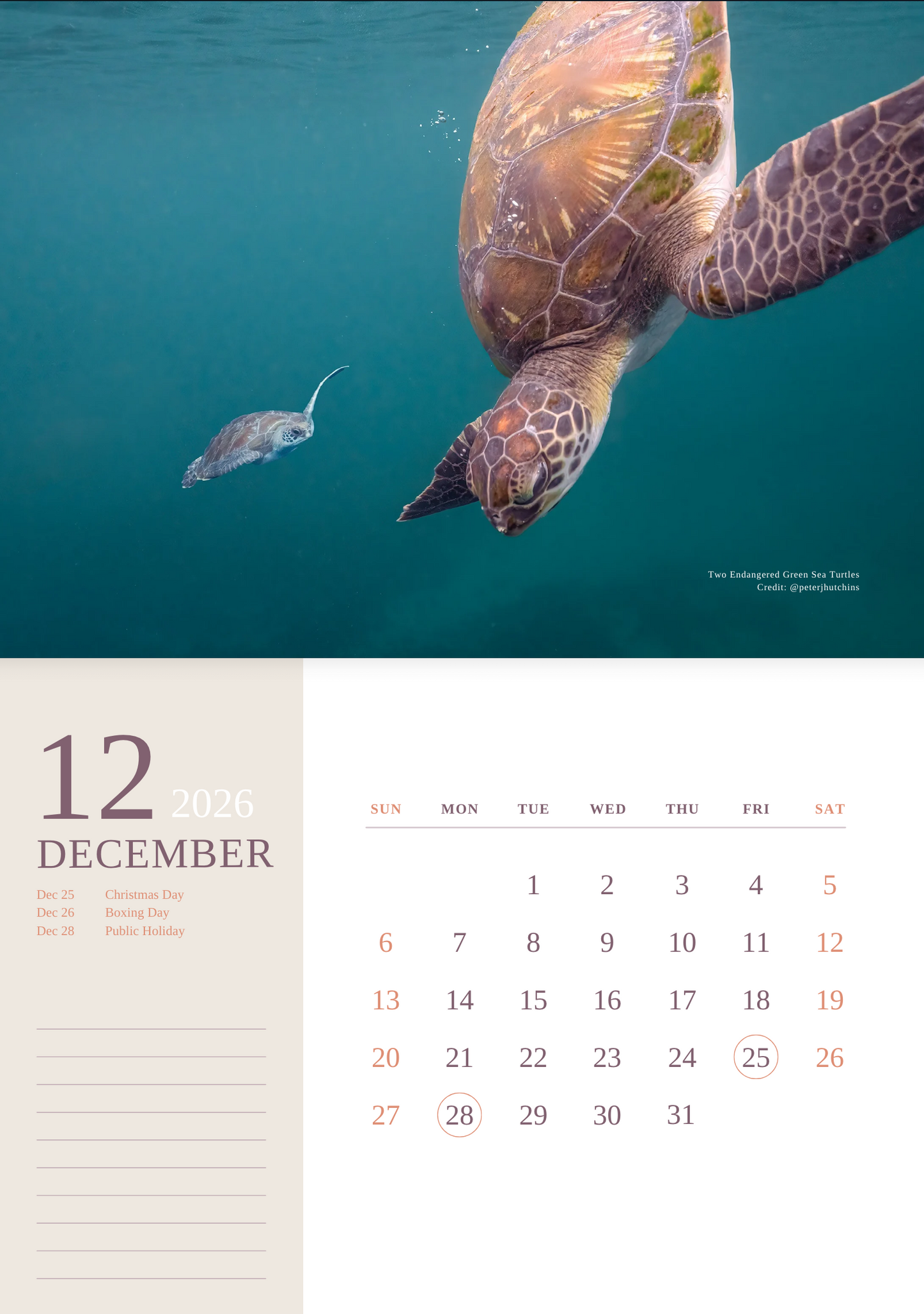 2026 Ocean Wildlife Calendar – Discover Australia’s Underwater Wonders