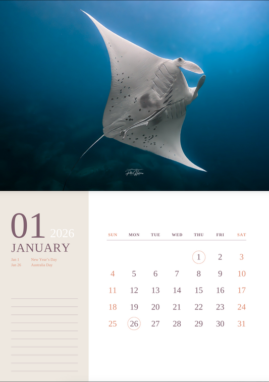 2026 Wild Manly Calendar – Beneath the Waves