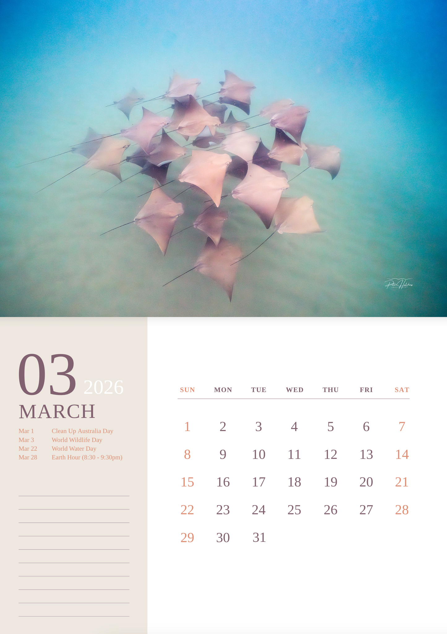 2026 Wild Manly Calendar – Beneath the Waves