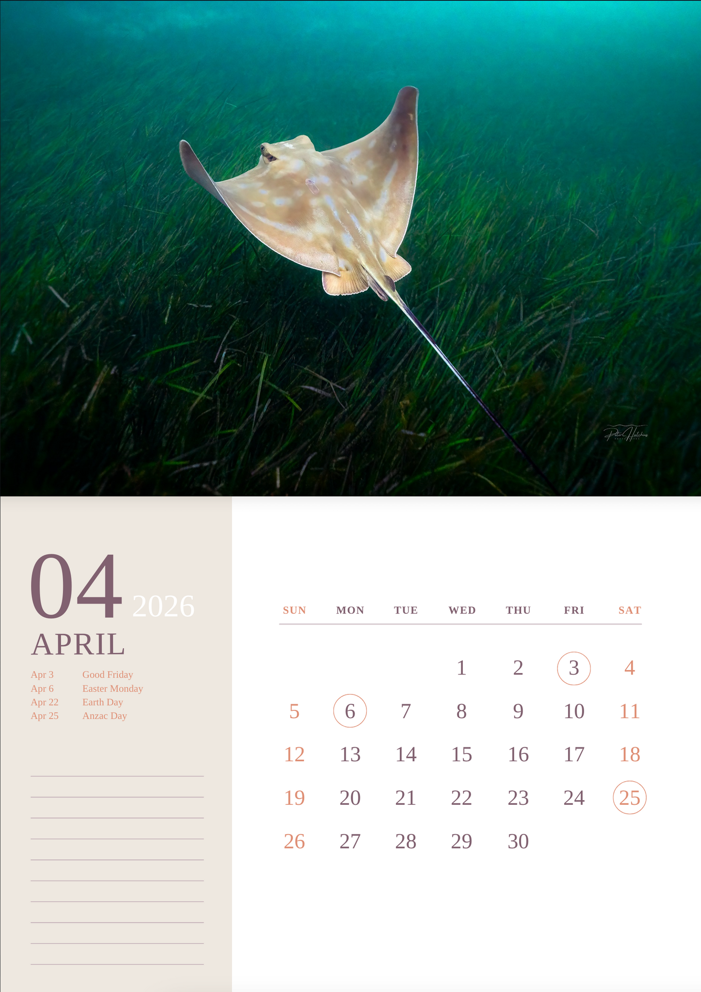 2026 Wild Manly Calendar – Beneath the Waves