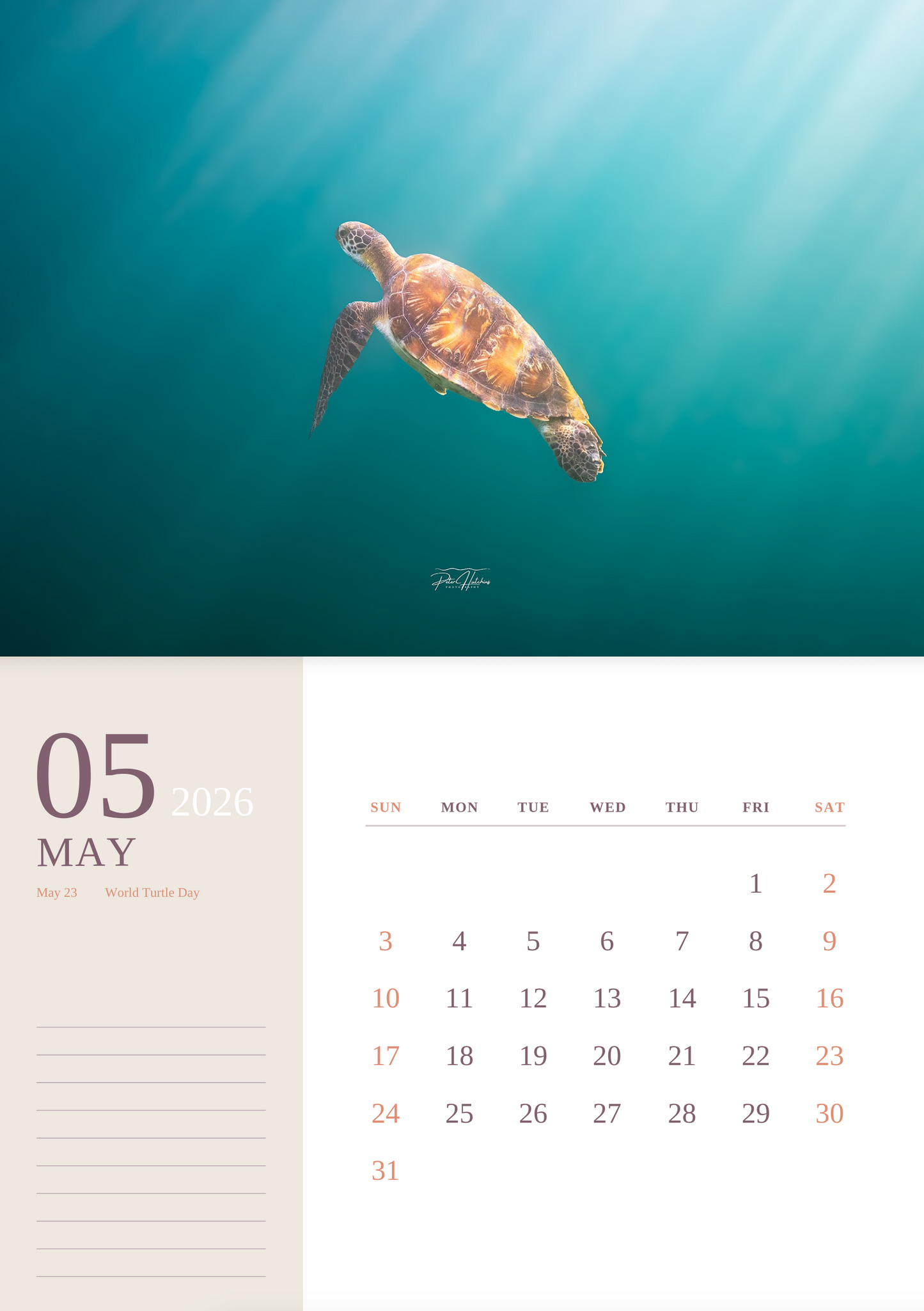 2026 Wild Manly Calendar – Beneath the Waves