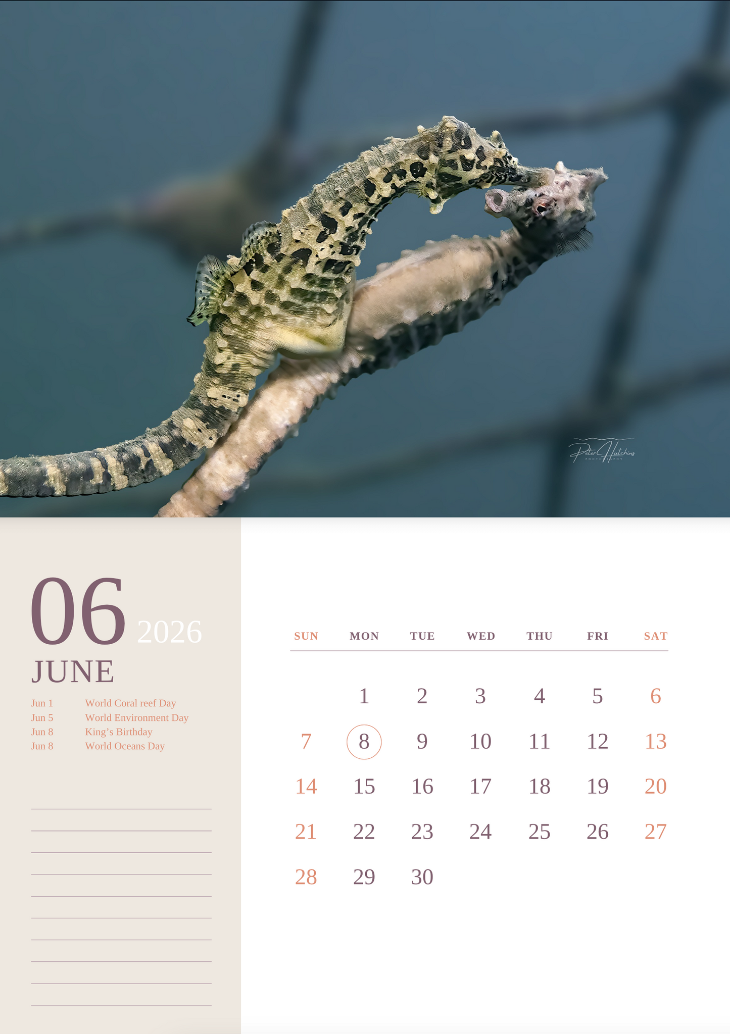 2026 Wild Manly Calendar – Beneath the Waves