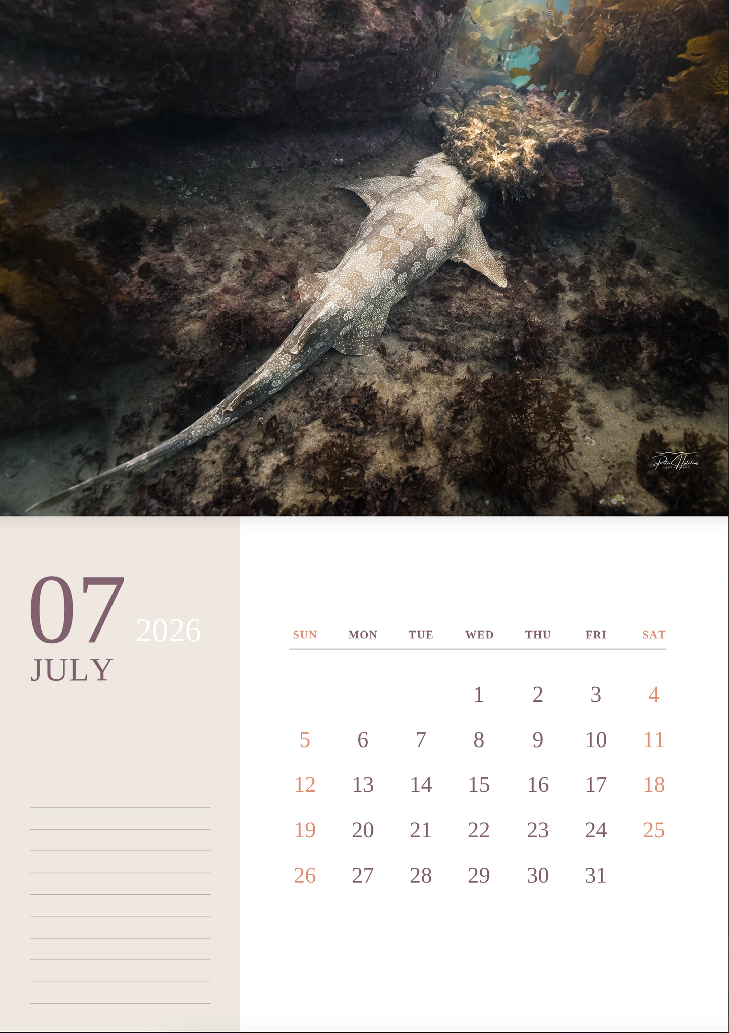 2026 Wild Manly Calendar – Beneath the Waves