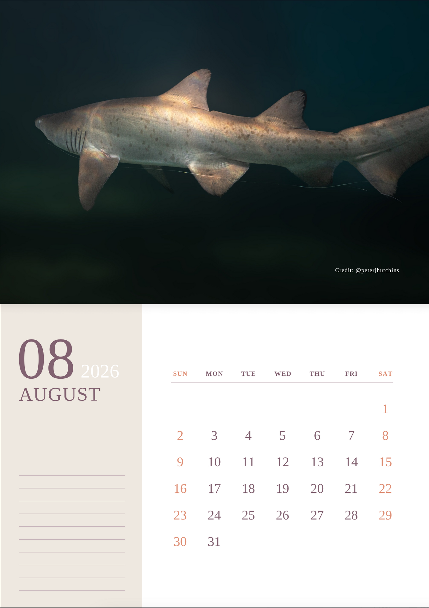 2026 Wild Manly Calendar – Beneath the Waves