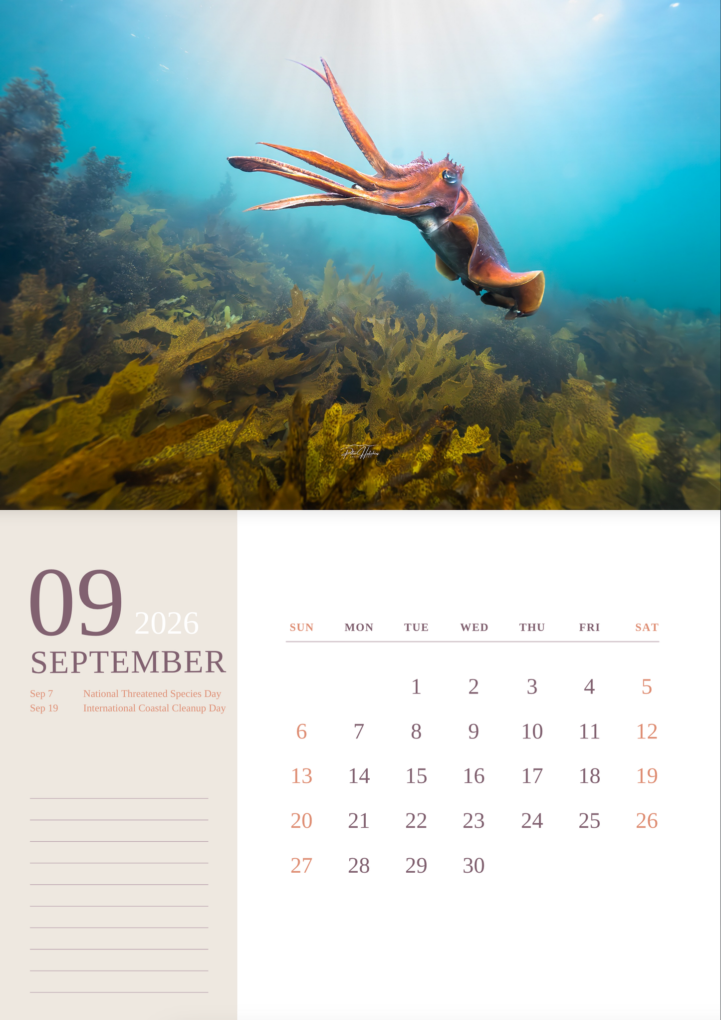 2026 Wild Manly Calendar – Beneath the Waves