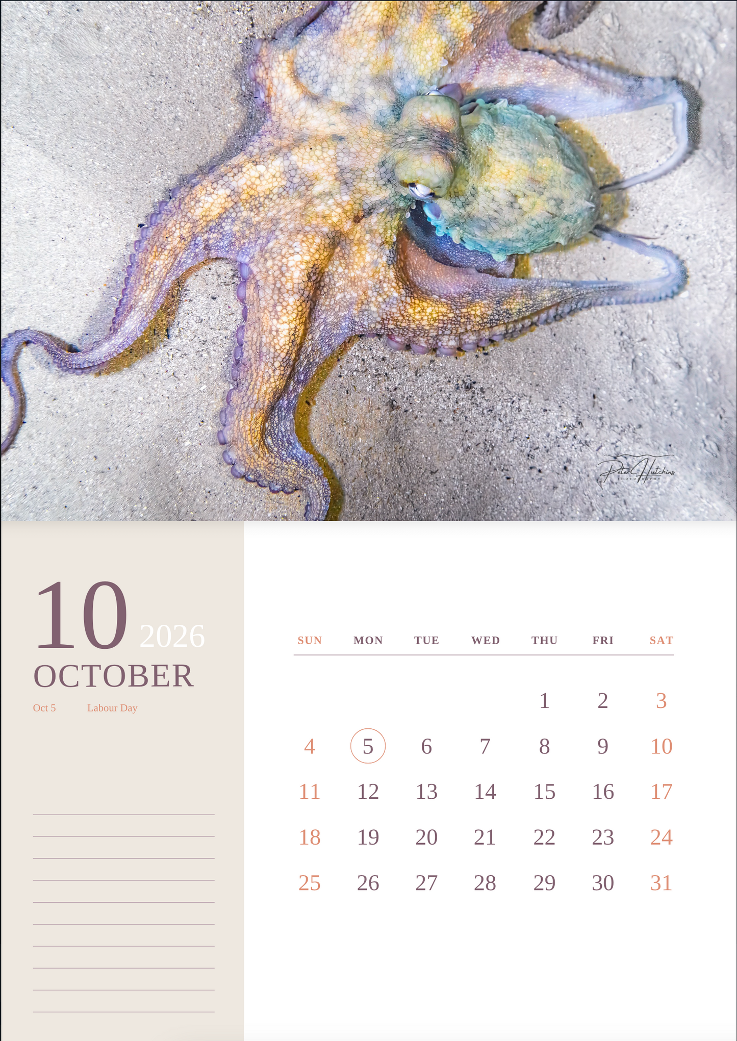 2026 Wild Manly Calendar – Beneath the Waves