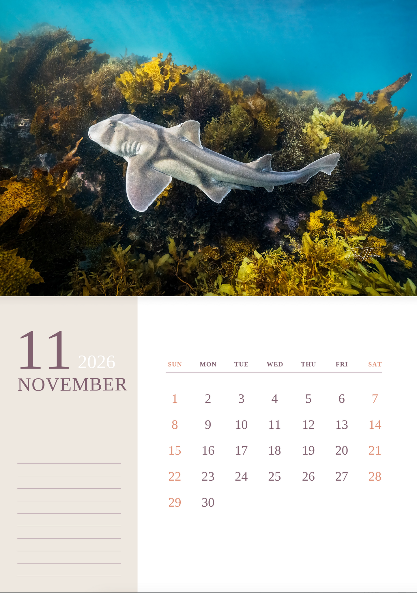 2026 Wild Manly Calendar – Beneath the Waves