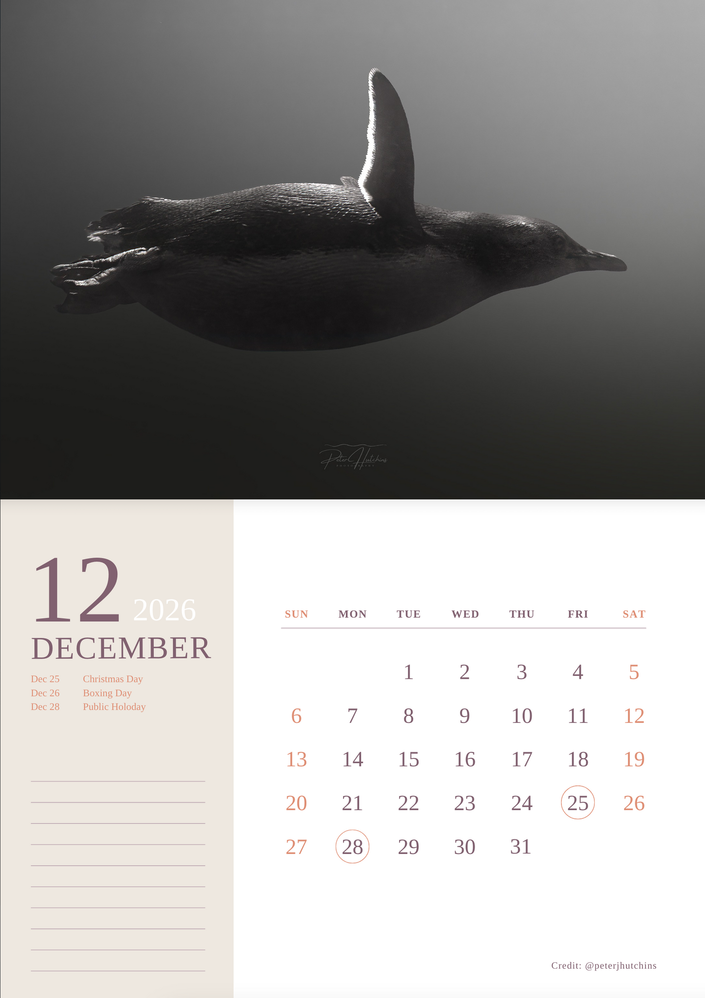2026 Wild Manly Calendar – Beneath the Waves
