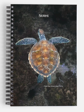 The Elliot Green Sea Turtle Notebook