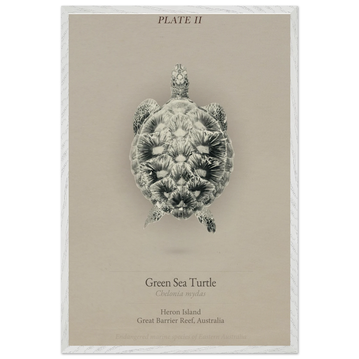 a3536177-d52f-479d-9e62-f8720d2b4577