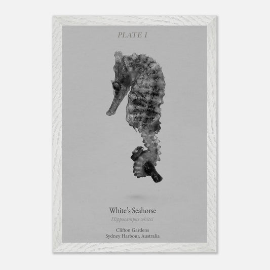 ba312c5b-5ecb-4c74-97c3-07a6dc86ea9b