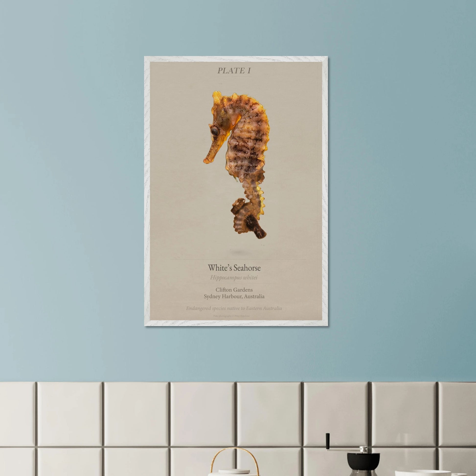 085db7fb-f6ac-42aa-9dbb-5a4351926ee0