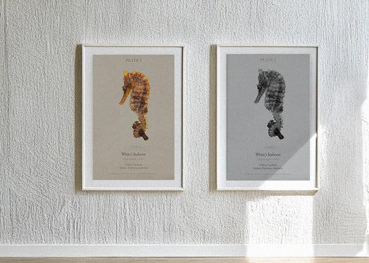 19af35d7-6d51-4424-8de1-ca2762322b3c