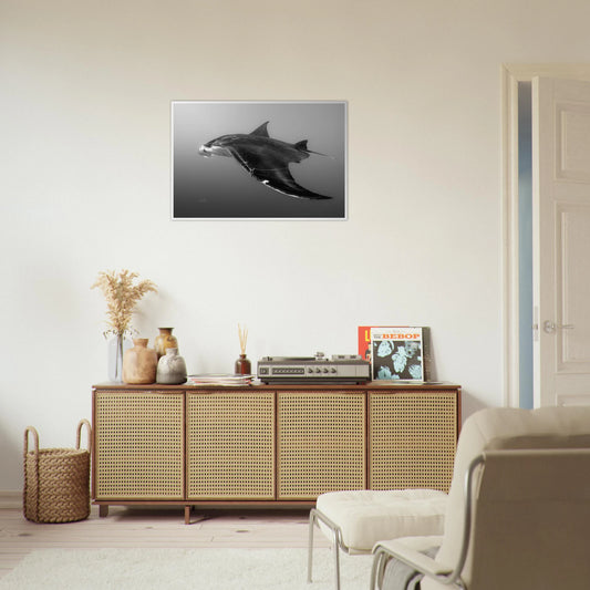 3b57602d-bf50-44df-a5bb-fa5690824498