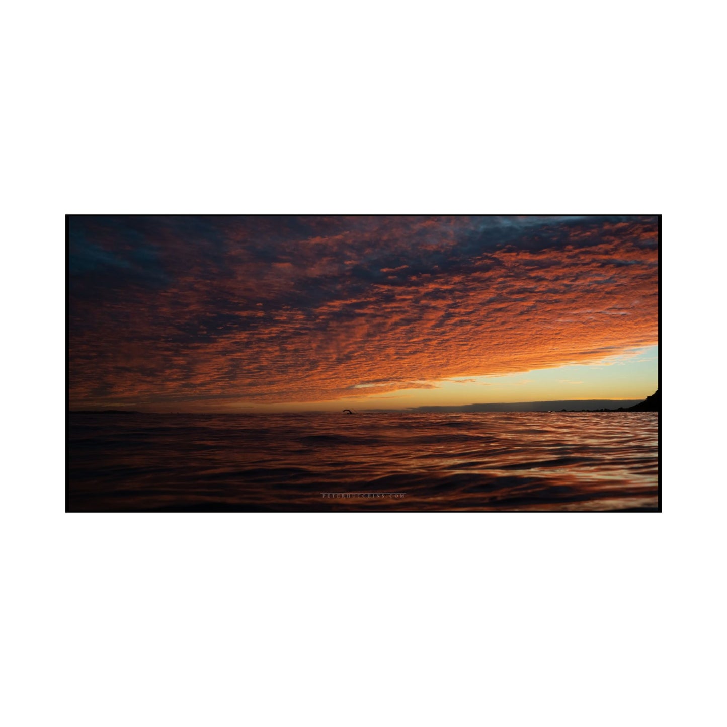 Bold Swimmer Sunrise Poster - Perfect Wall Art for Home Decor