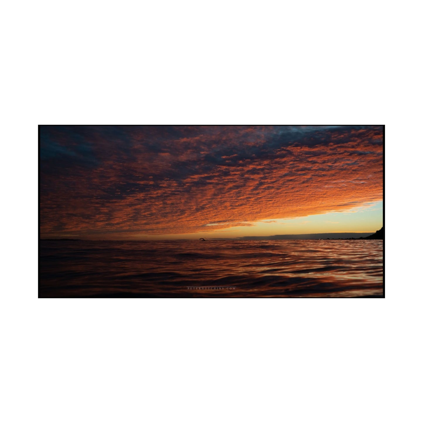Bold Swimmer Sunrise Poster - Perfect Wall Art for Home Decor