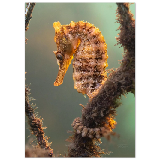 7543fa09-1d76-4748-afbf-88ff00fd1222