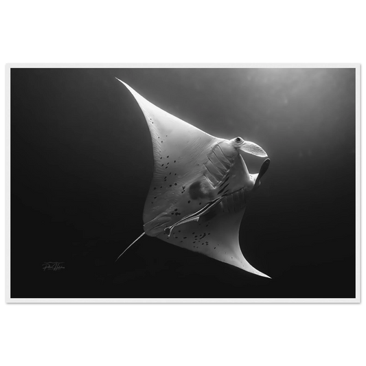 7d71c831-b1dd-4661-9fe7-ba3c7a03f884