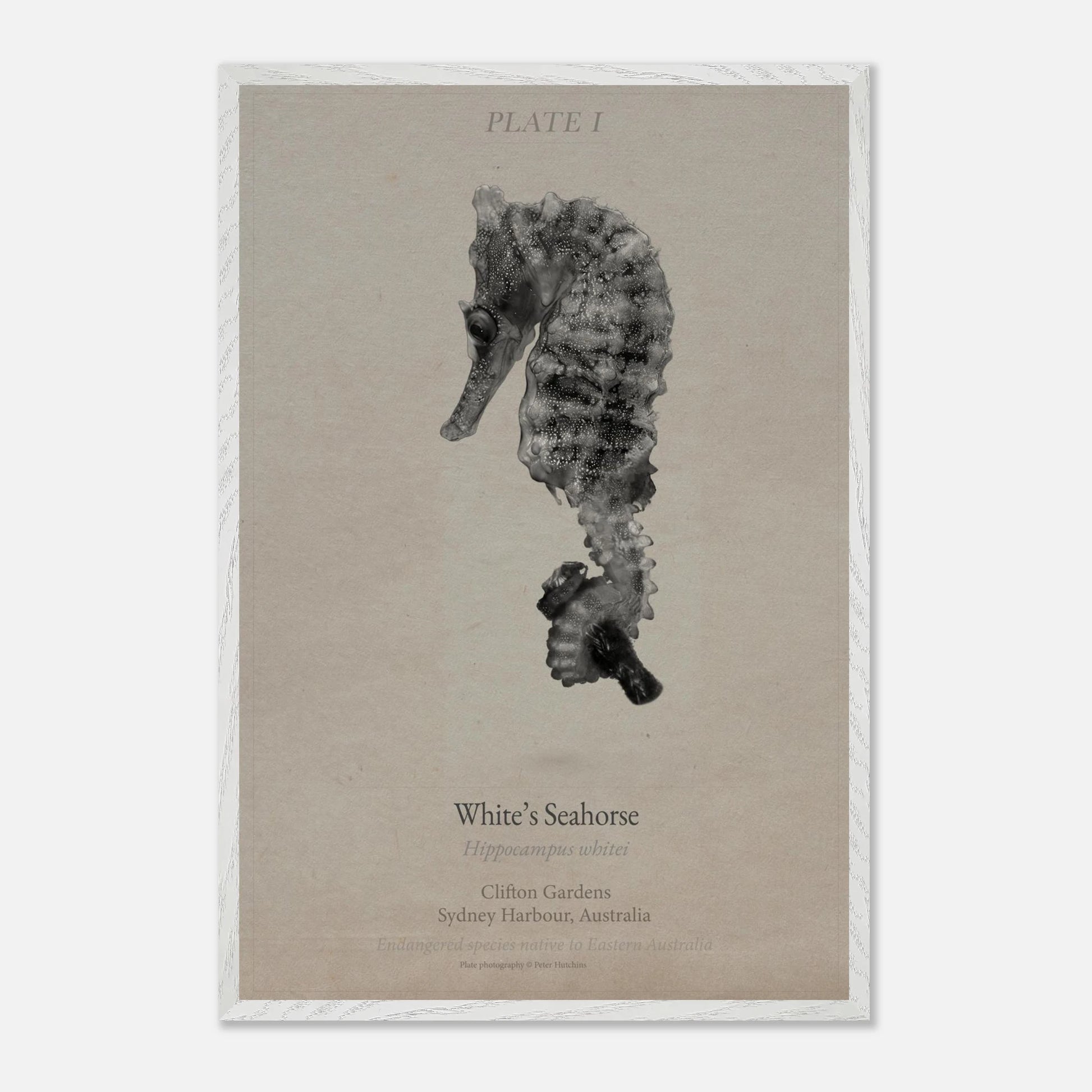 8154bb3e-cf2f-4467-9845-6a5ea62775ae