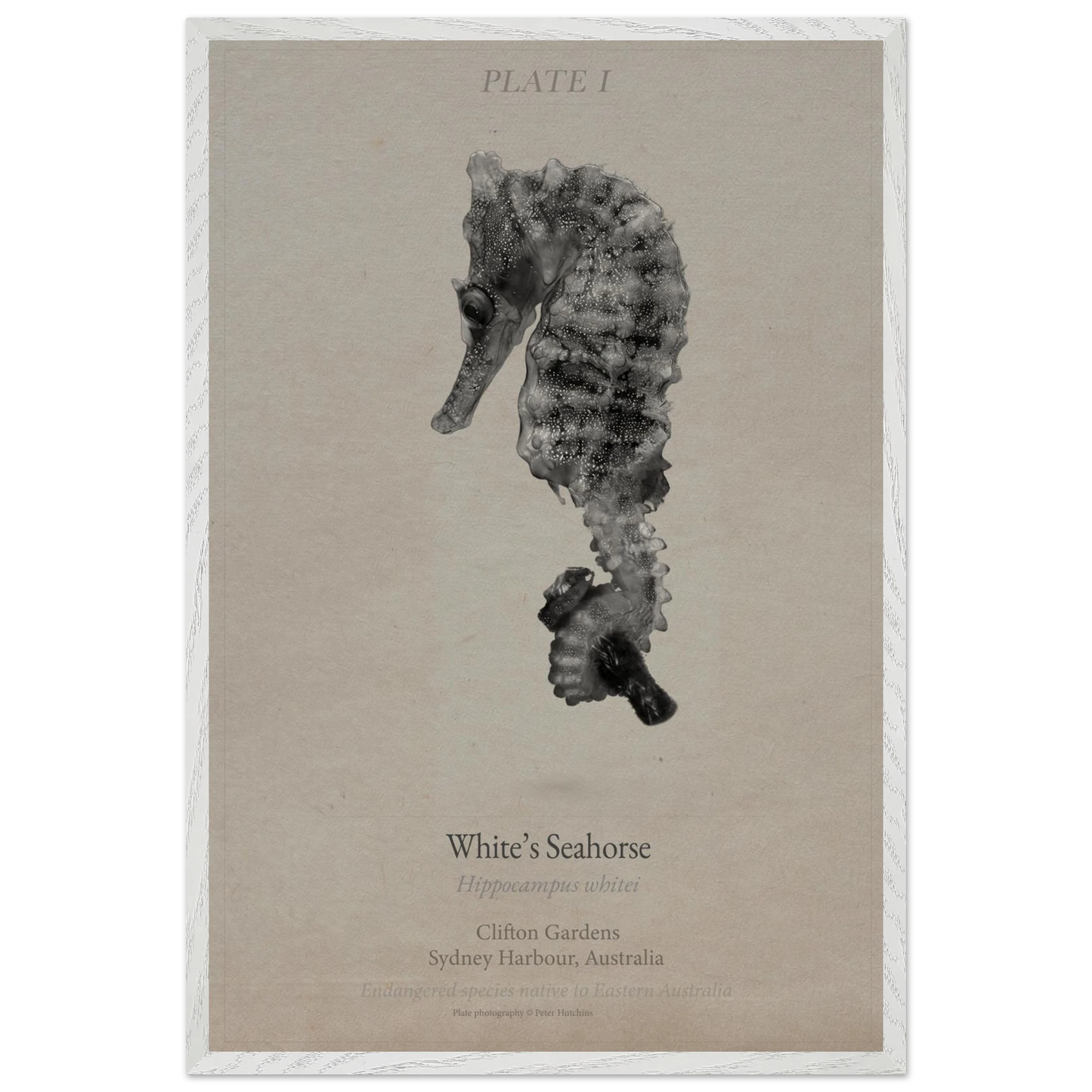 8297a043-967c-47d7-99f7-de4b3144c396