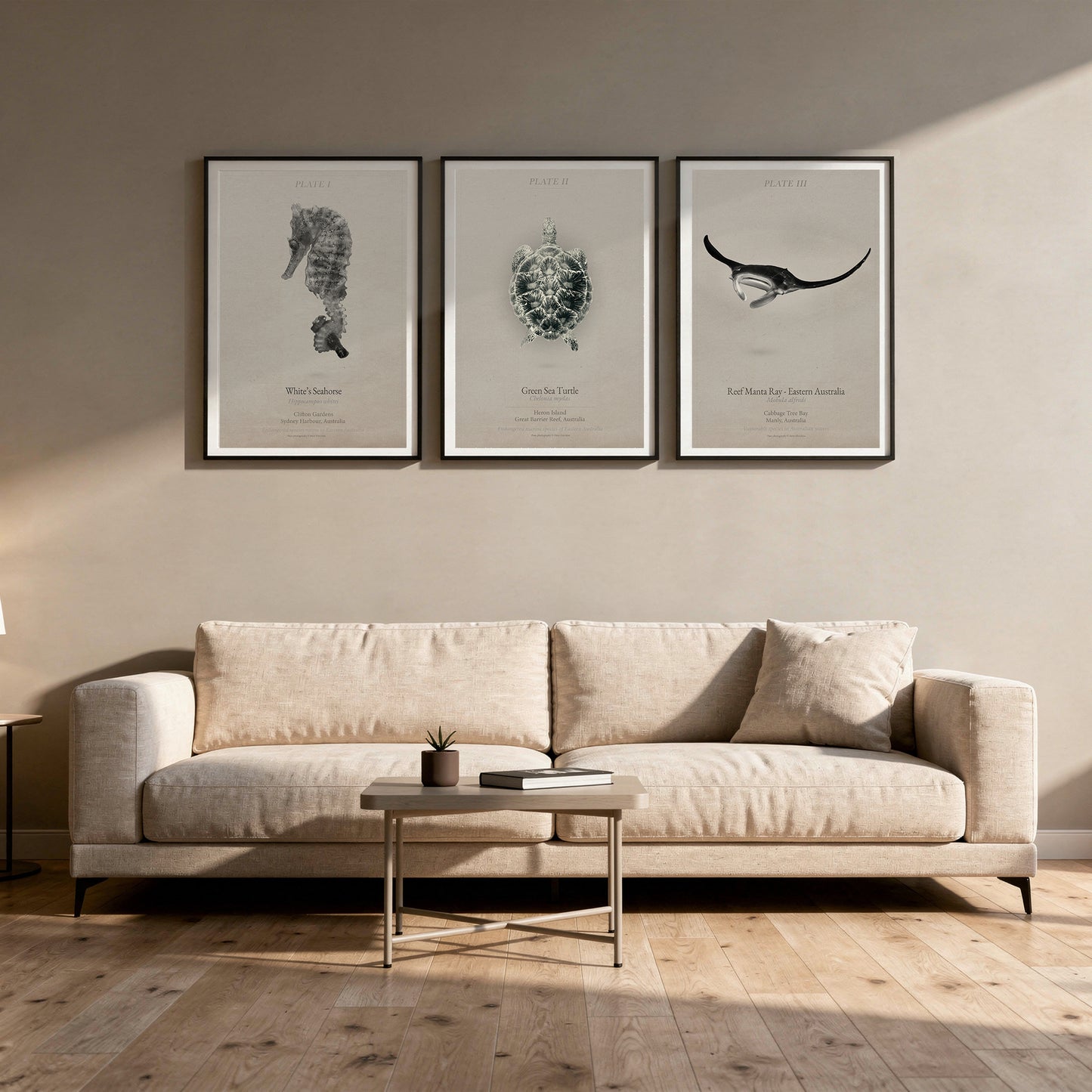 Ocean Plates Triptych | Turtle, Seahorse & Manta | Coastal Wall Art Set