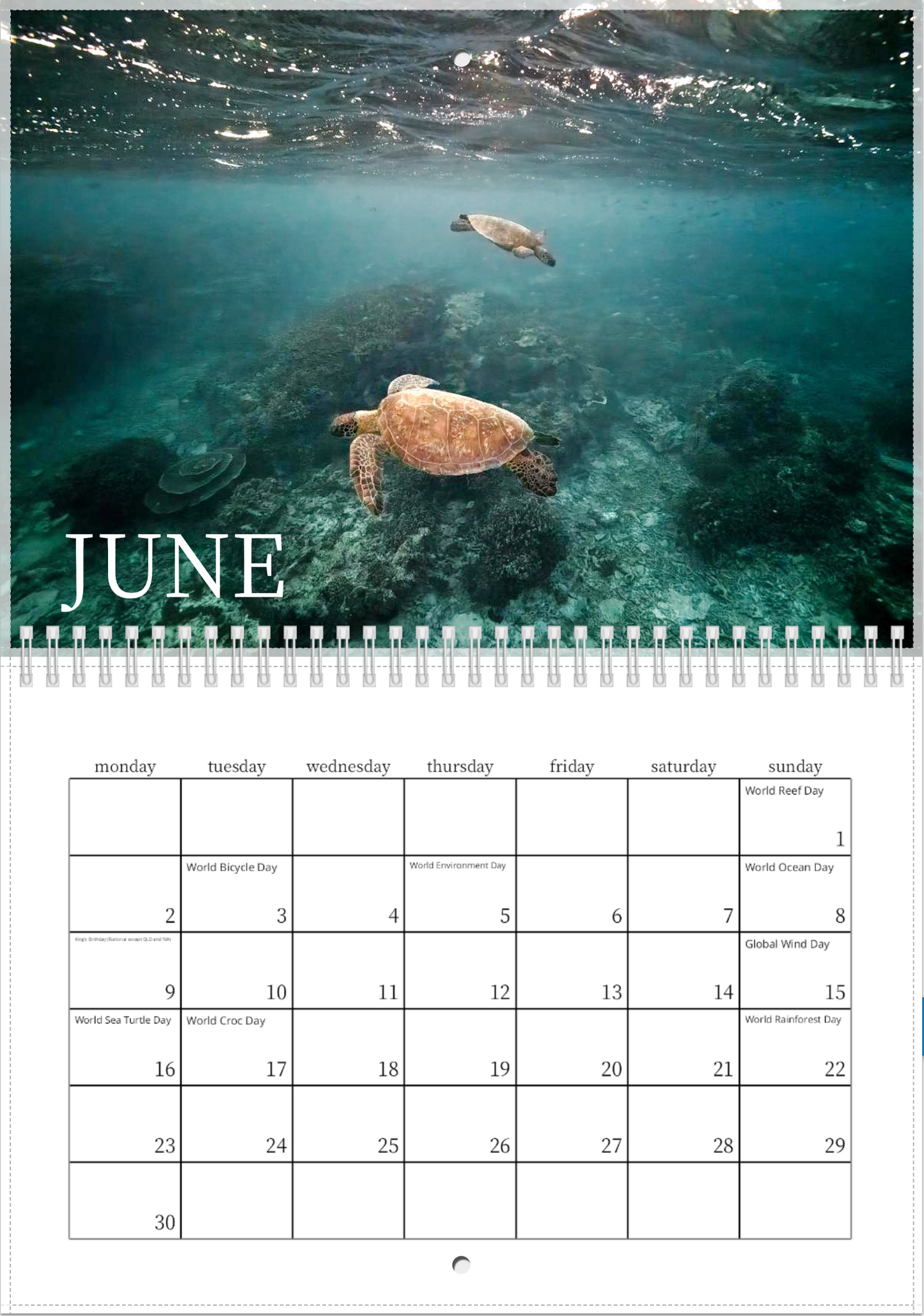 2025 Australian Green Sea Turtle Calendar