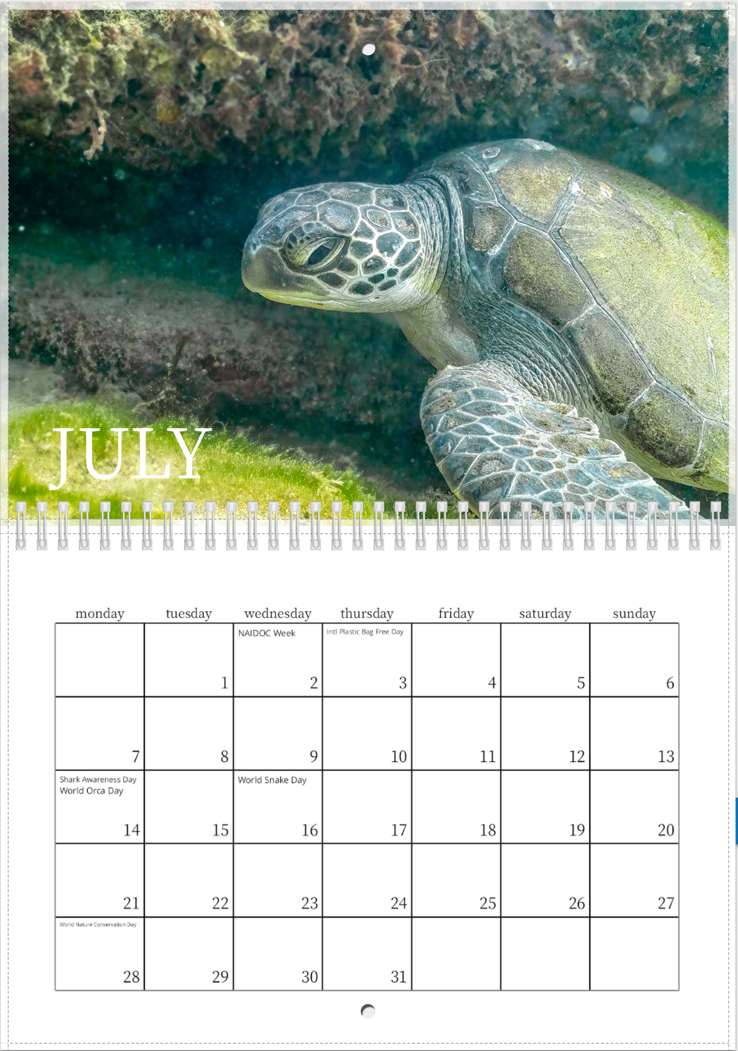 2025 Australian Green Sea Turtle Calendar