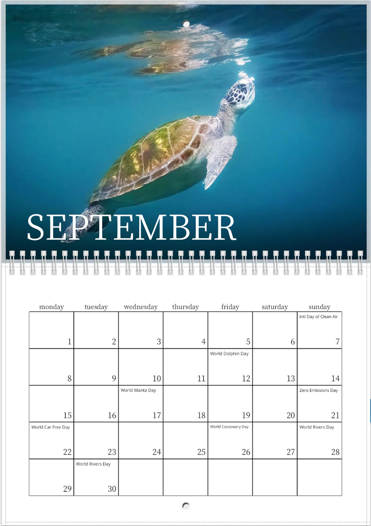 2025 Australian Green Sea Turtle Calendar