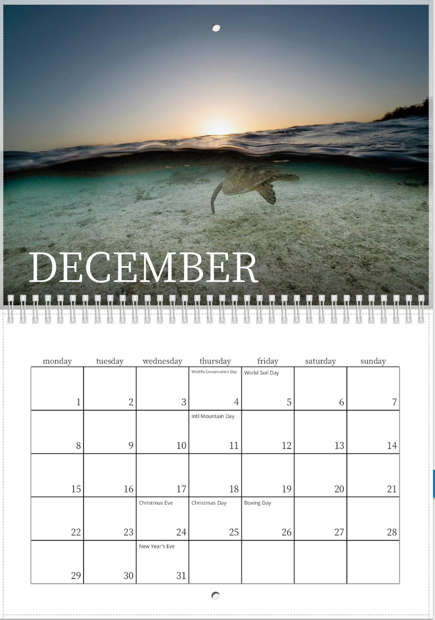 2025 Australian Green Sea Turtle Calendar