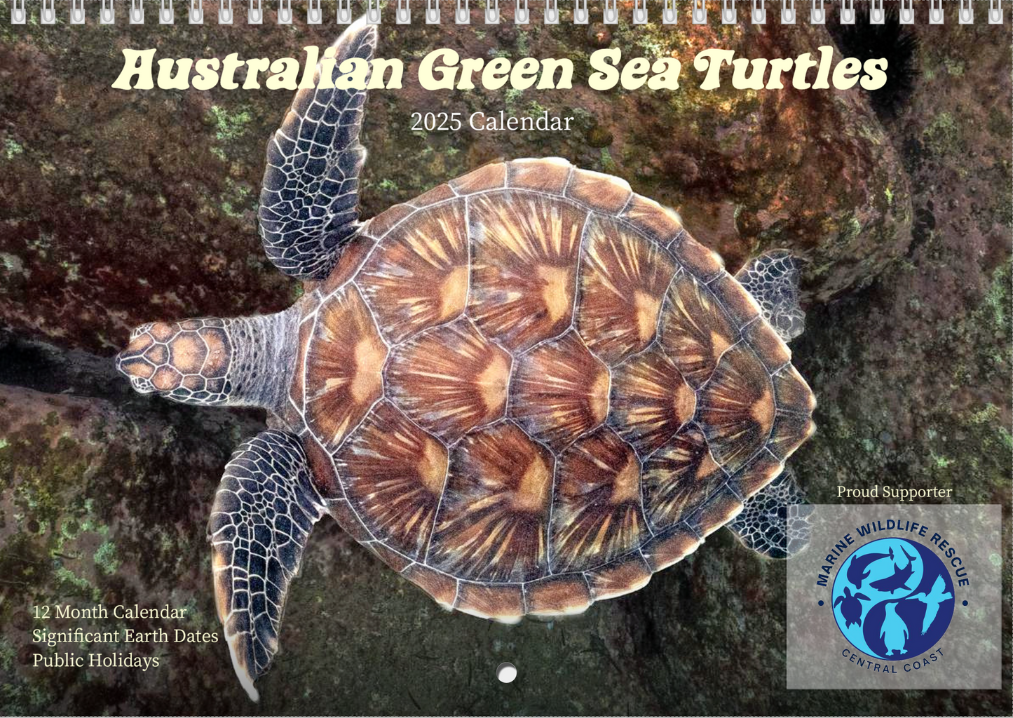 2025 Australian Green Sea Turtle Calendar