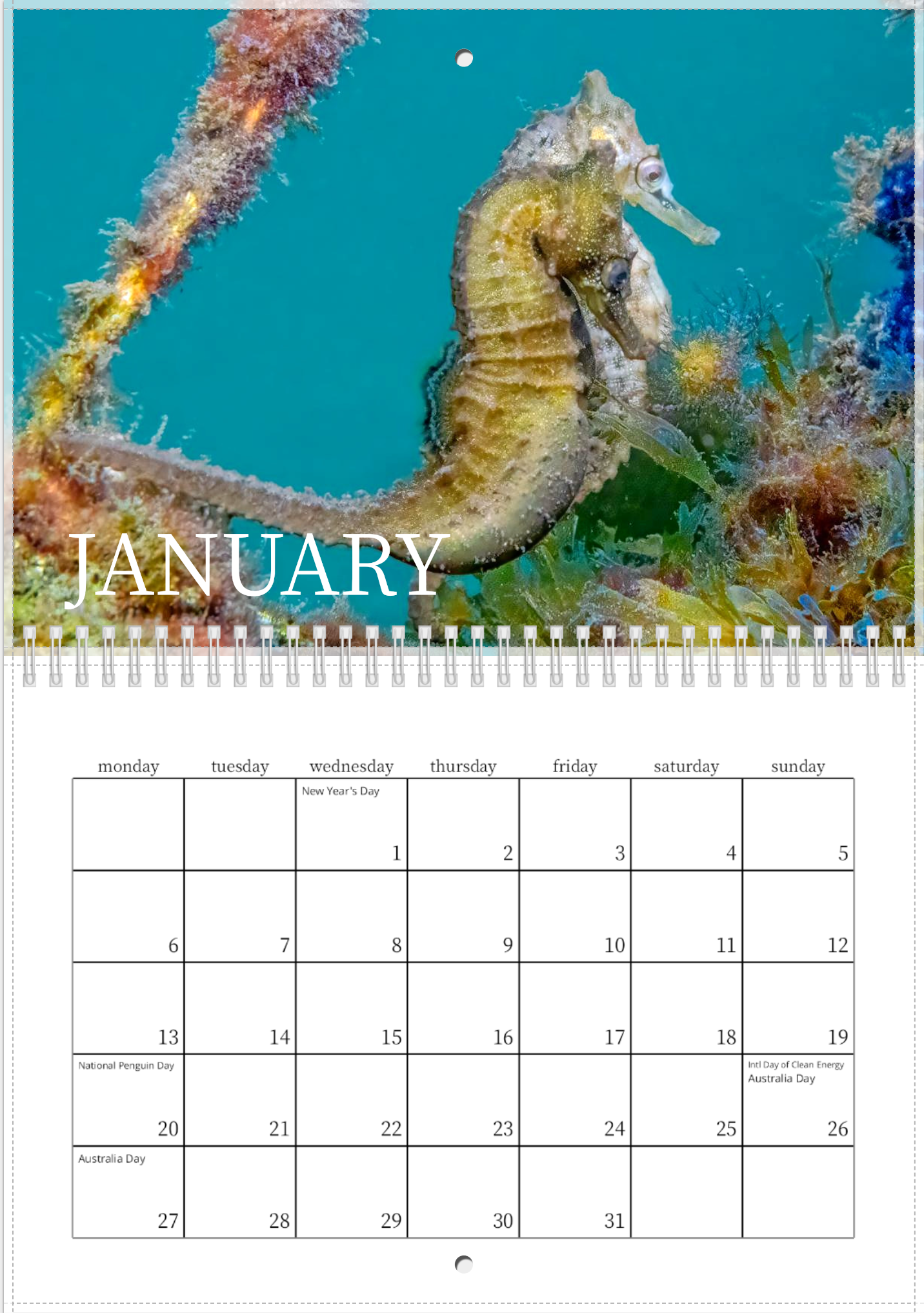 2025 Endangered Sydney "White's" Seahorse Calendar