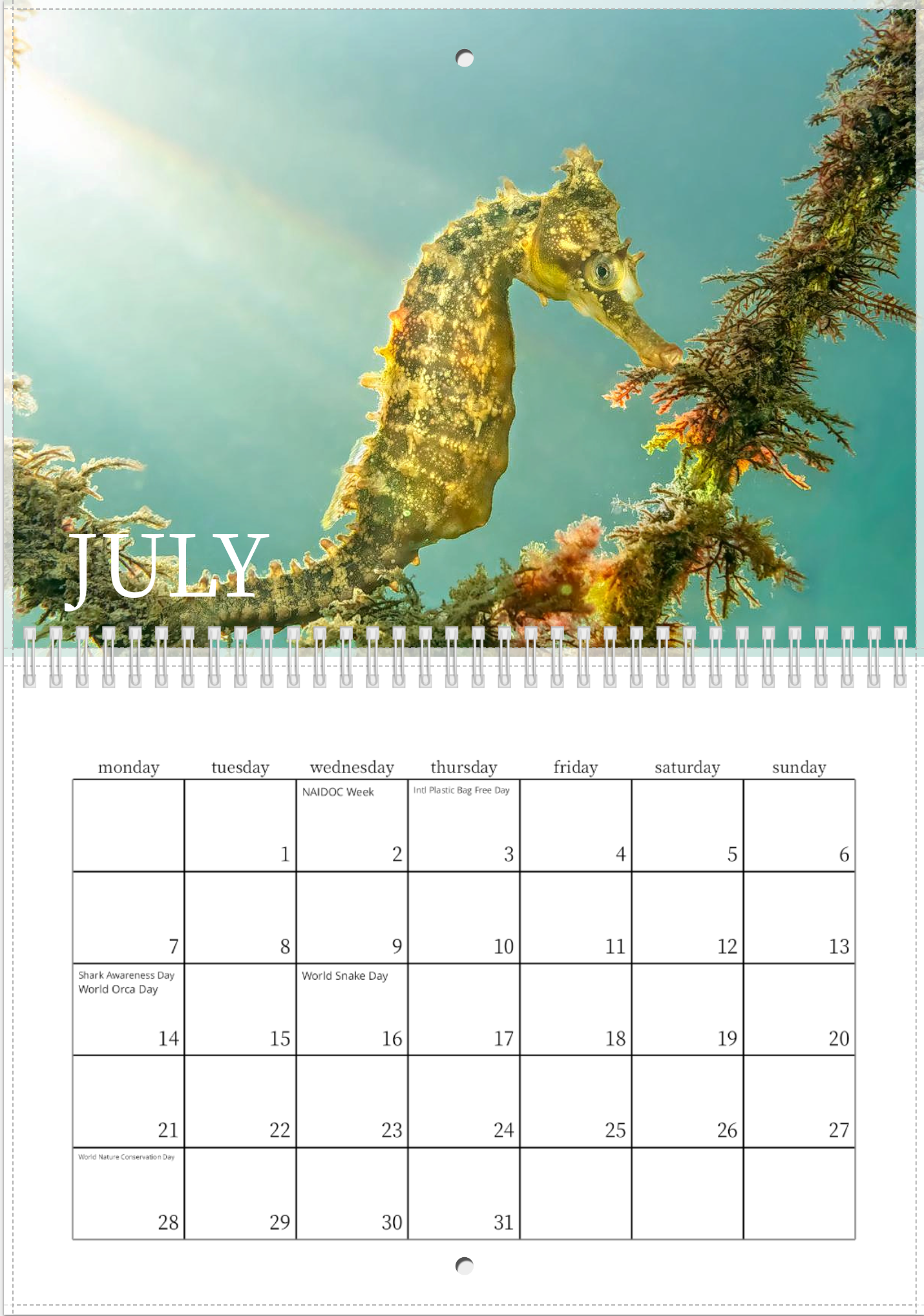 2025 Endangered Sydney "White's" Seahorse Calendar