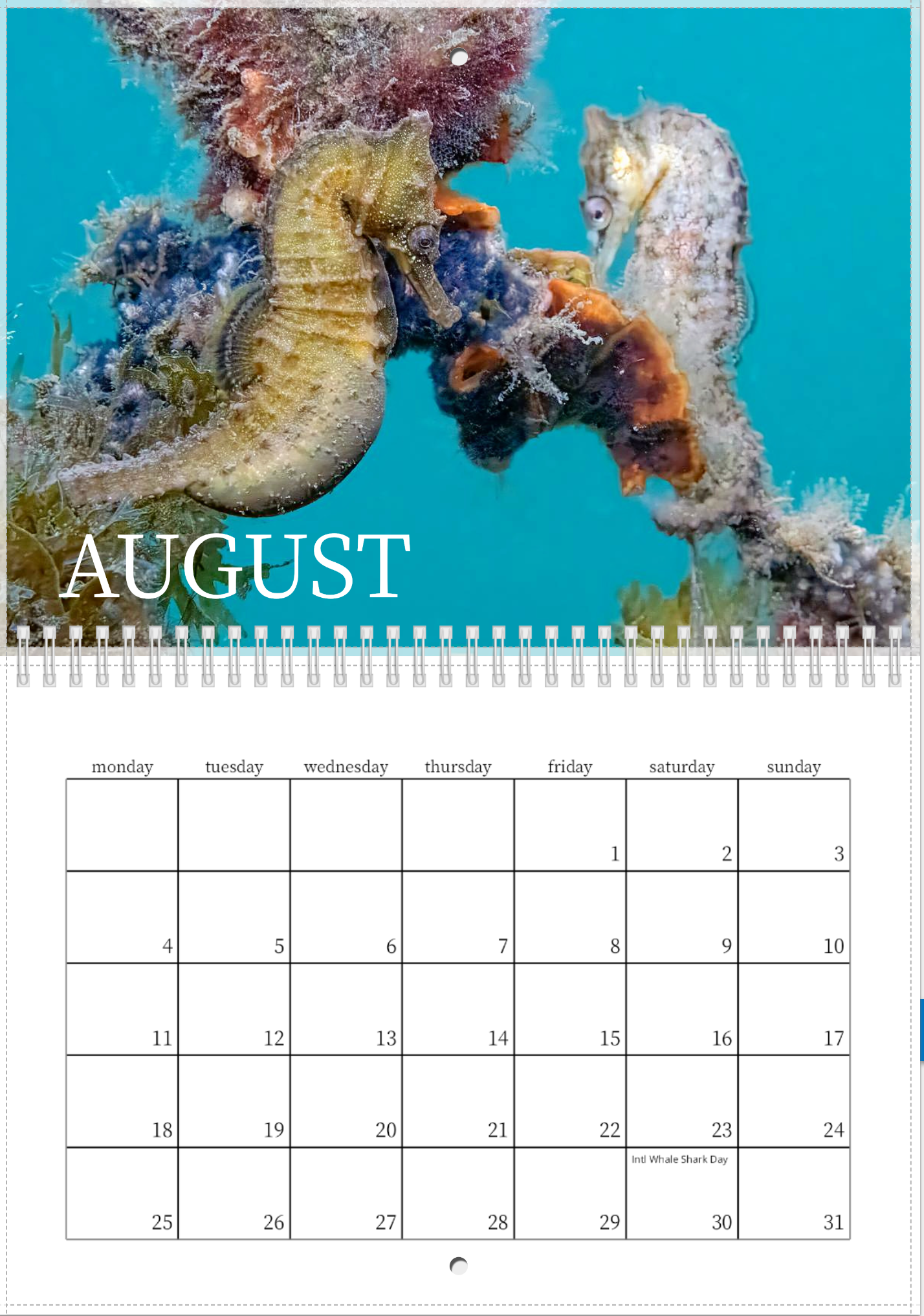 2025 Endangered Sydney "White's" Seahorse Calendar