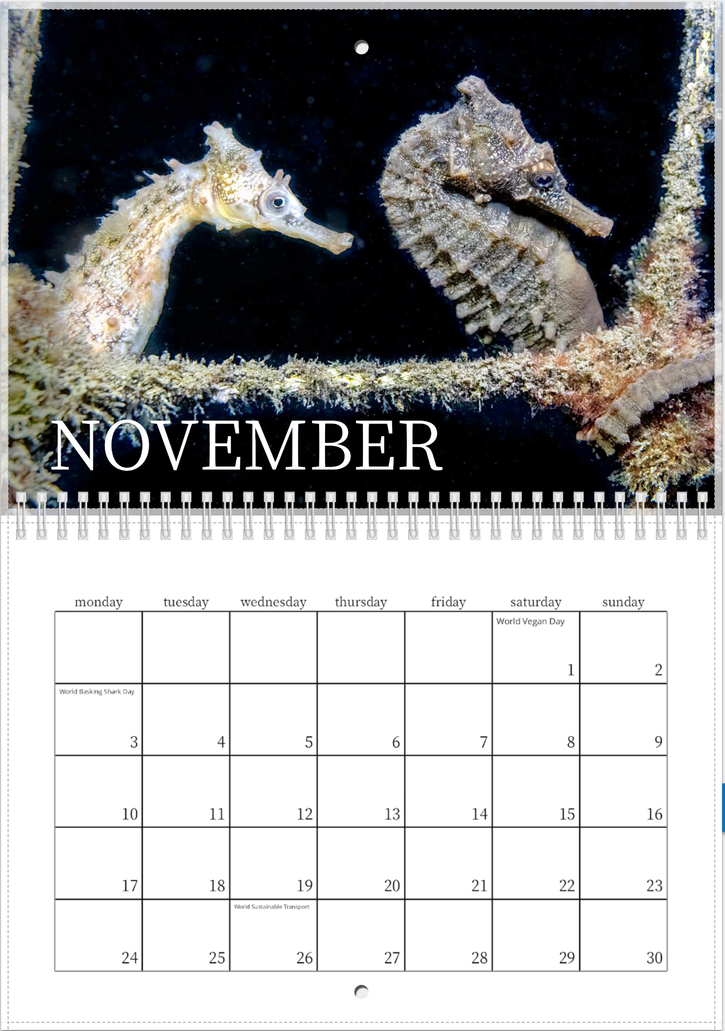 2025 Endangered Sydney "White's" Seahorse Calendar