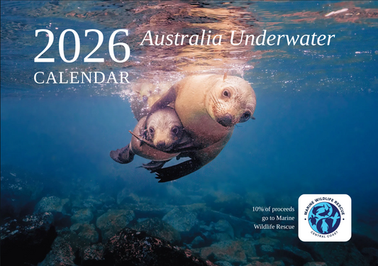 2026 Ocean Wildlife Calendar – Discover Australia’s Underwater Wonders