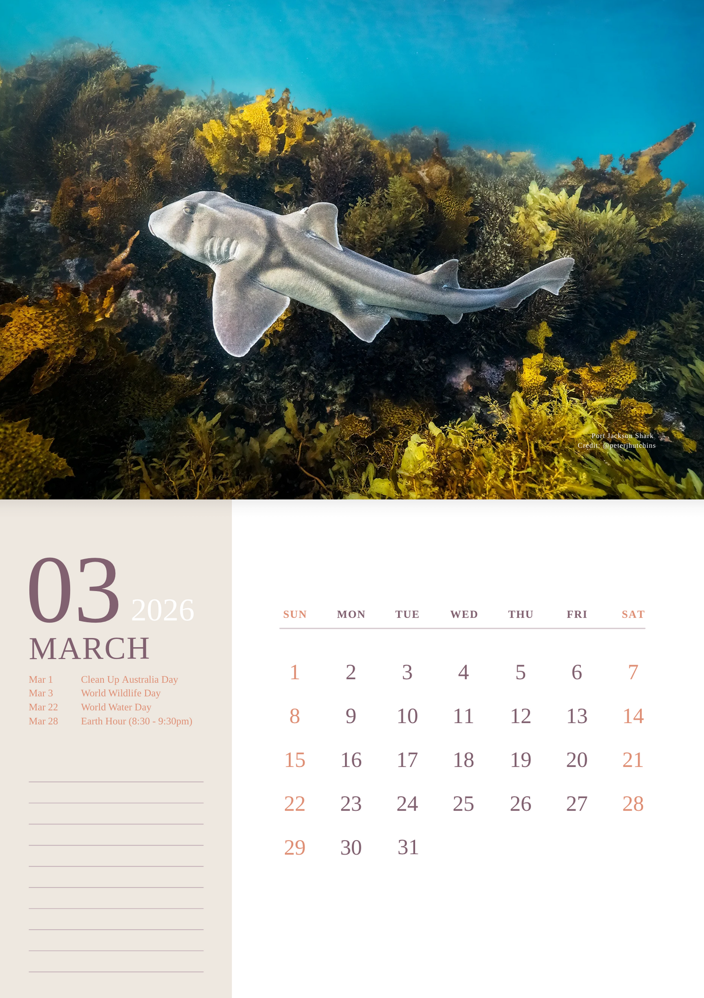 2026 Ocean Wildlife Calendar – Discover Australia’s Underwater Wonders