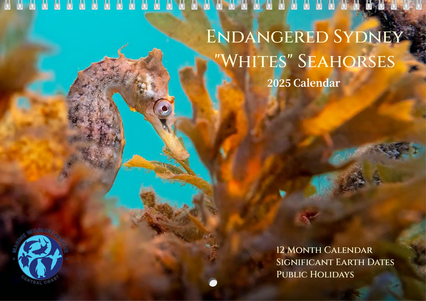 2025 Endangered Sydney "White's" Seahorse Calendar