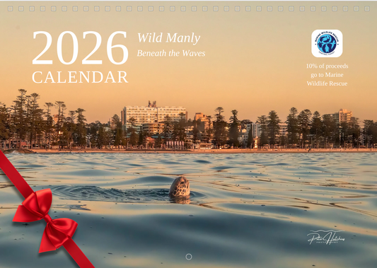 2026 Wild Manly Calendar – Beneath the Waves
