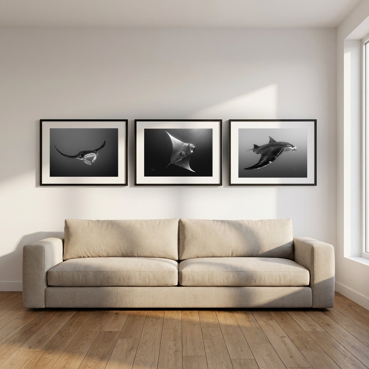 Manta in Motion – Triptych Set (3 Prints)