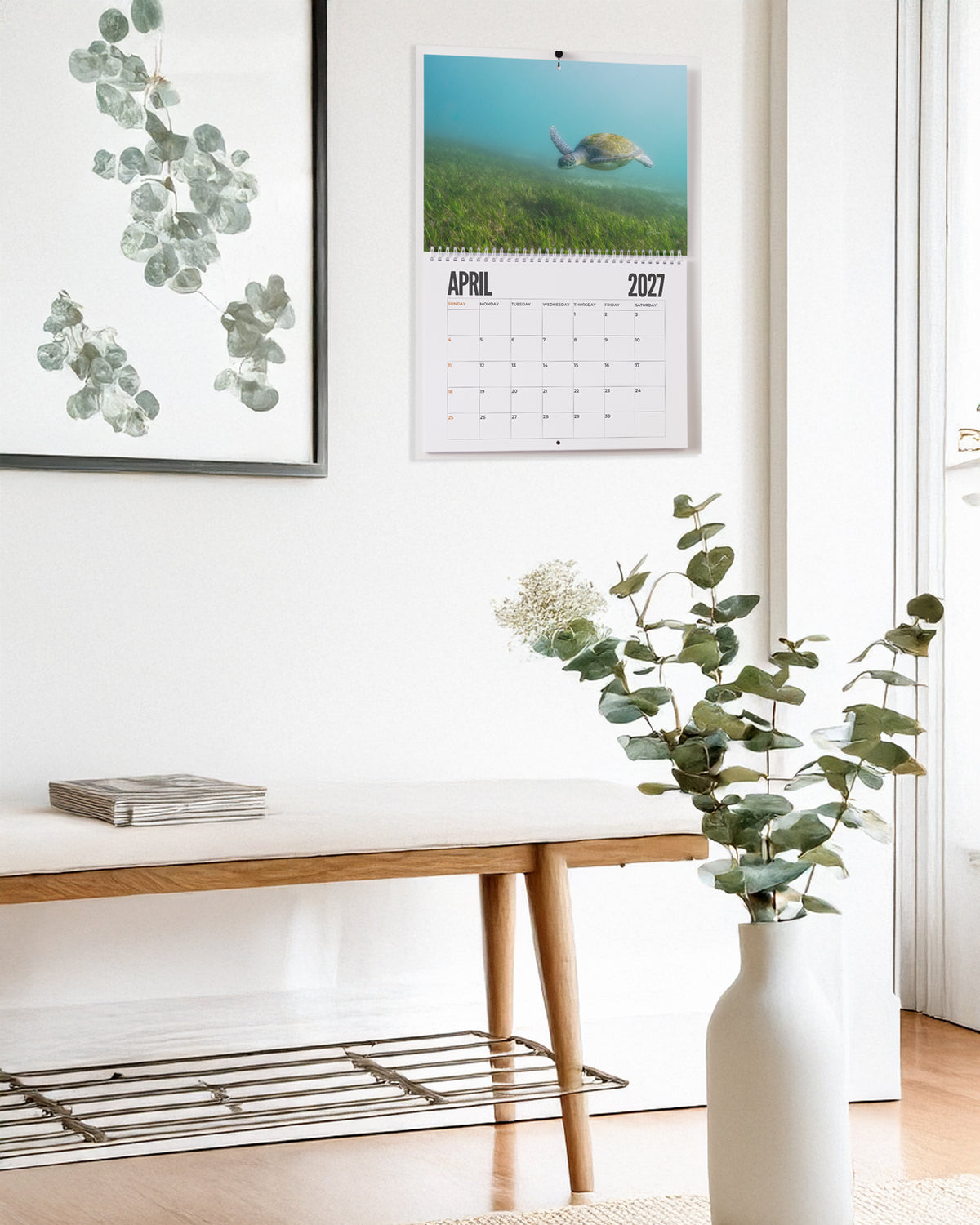 Sydney's Sea Turtles - Wall Calendar 2027 (Australia and Europe)